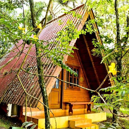 Hotel Vila Dos Alpes Treze Tílias Zewnętrze zdjęcie